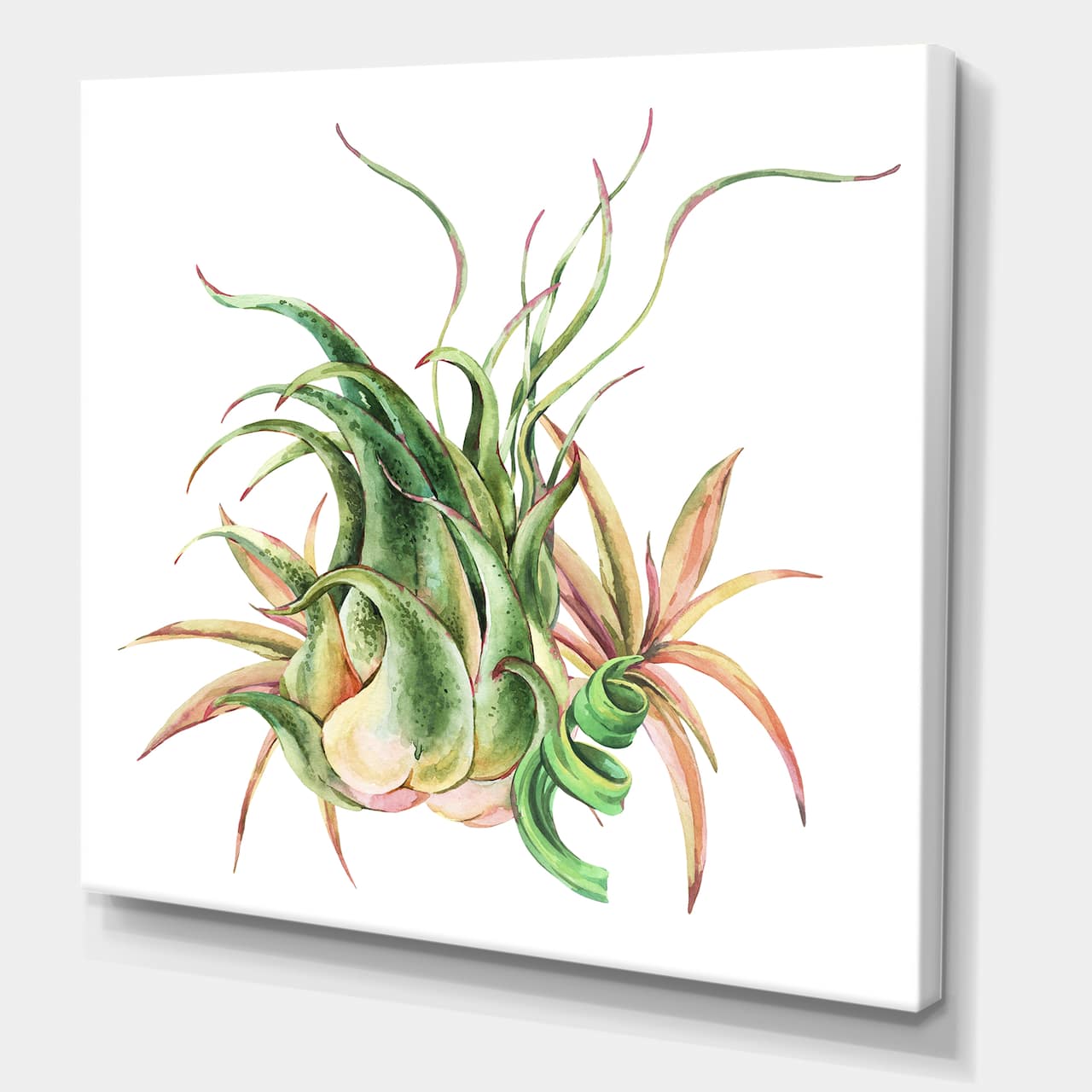Designart - Tropical Leaves Air Plant Succulent - Farmhouse Canvas Wall Art Print